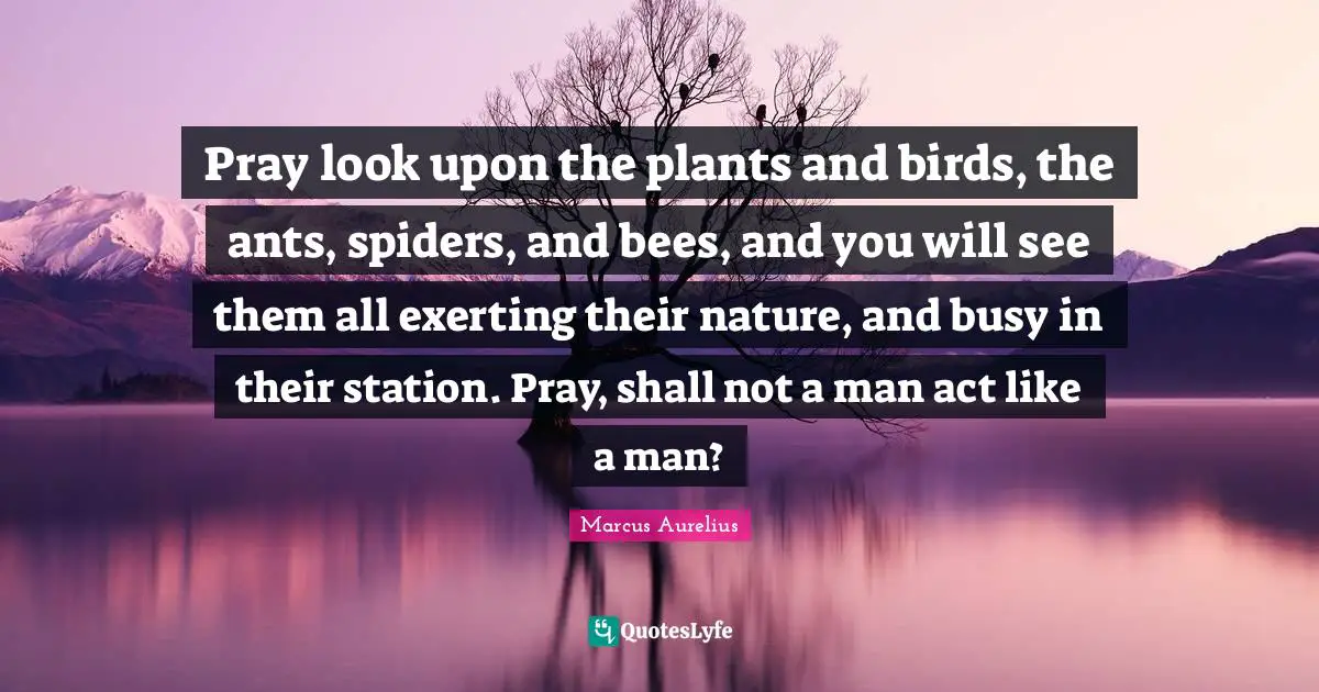 Pray look upon the plants and birds, the ants, spiders, and bees, and you will see them all exerting their nature, and busy in their station. Pray, shall not a man act like a man?