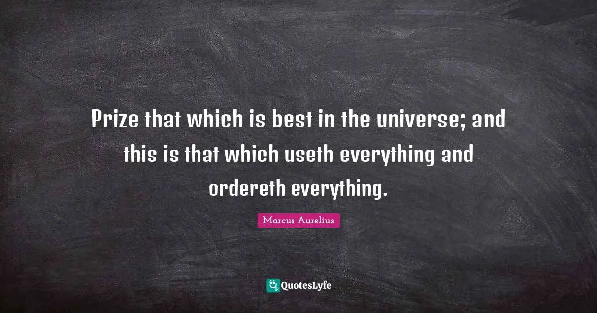 Prize that which is best in the universe; and this is that which useth everything and ordereth everything.