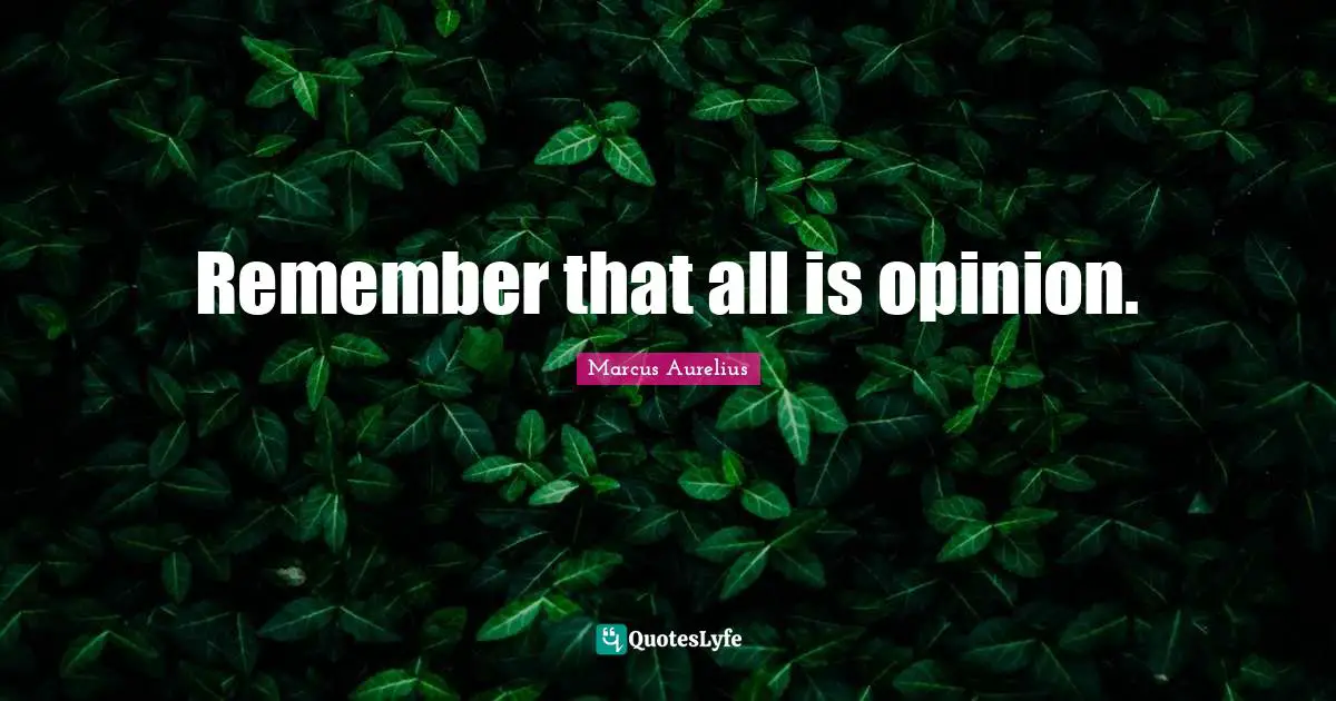 Remember that all is opinion.