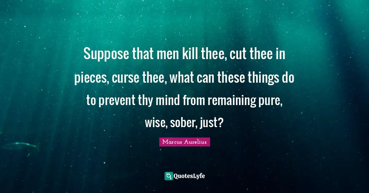 Suppose that men kill thee, cut thee in pieces, curse thee, what can these things do to prevent thy mind from remaining pure, wise, sober, just?