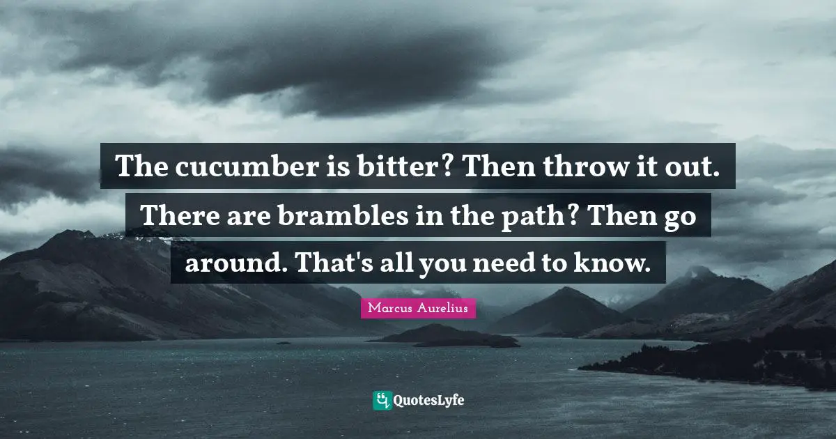 The cucumber is bitter? Then throw it out. There are brambles in the path? Then go around. That's all you need to know.