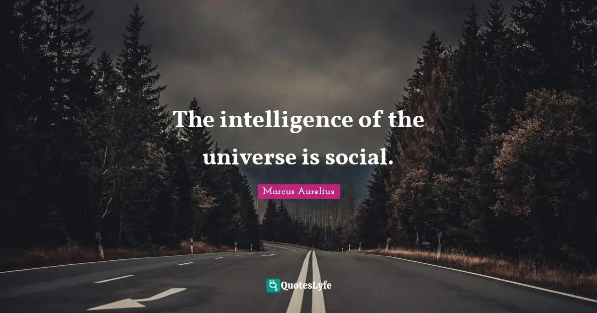 The intelligence of the universe is social.