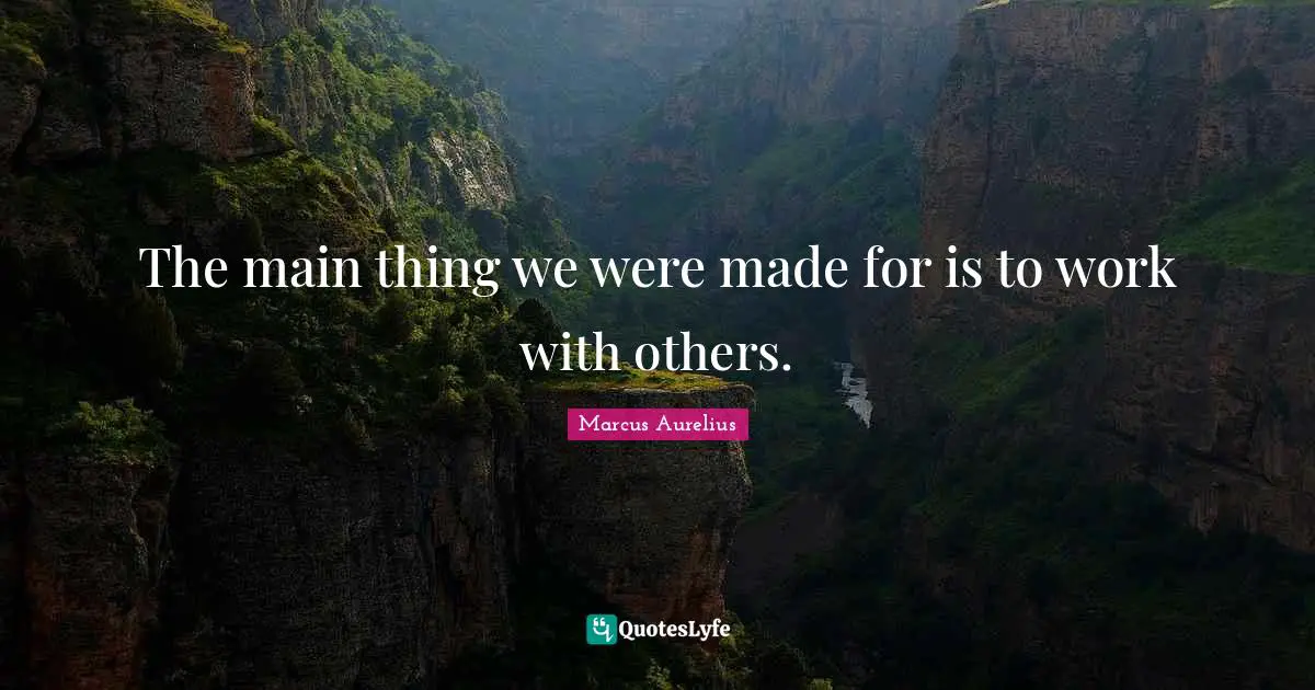The main thing we were made for is to work with others.