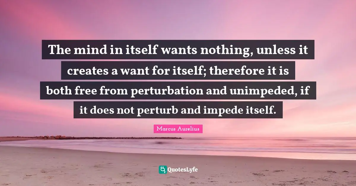 The mind in itself wants nothing, unless it creates a want for itself; therefore it is both free from perturbation and unimpeded, if it does not perturb and impede itself.