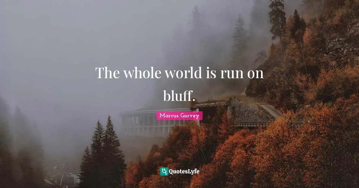 The whole world is run on bluff.