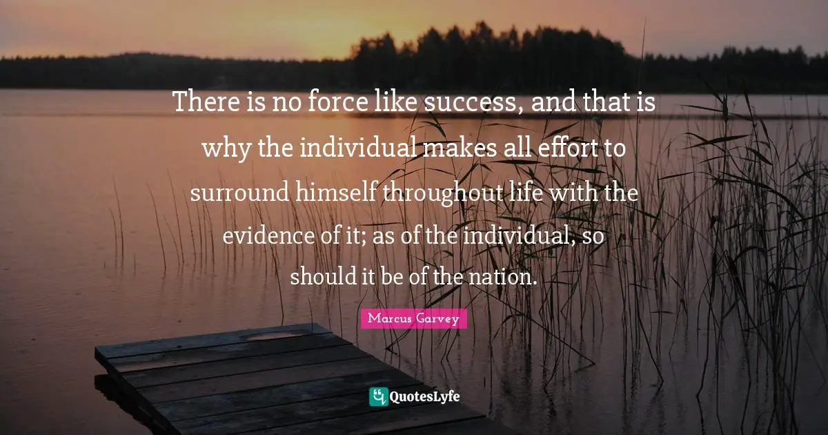 There is no force like success, and that is why the individual makes all effort to surround himself throughout life with the evidence of it; as of the individual, so should it be of the nation.