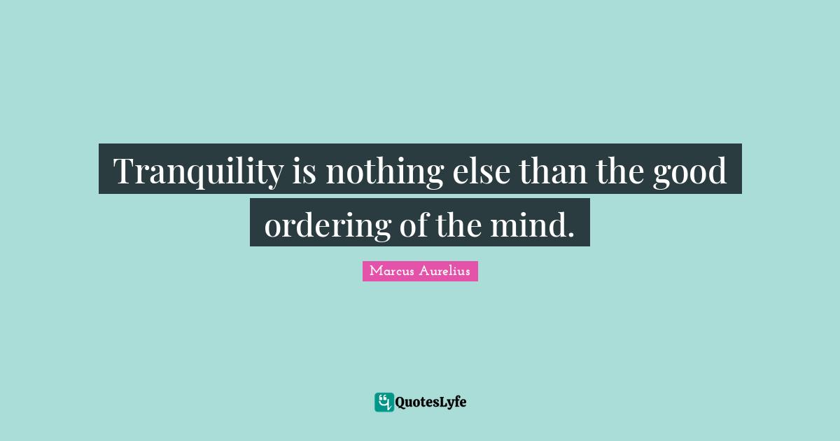 Tranquility is nothing else than the good ordering of the mind.