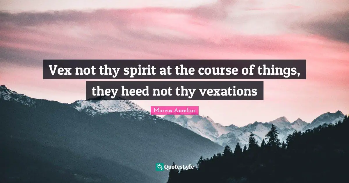 Vex not thy spirit at the course of things, they heed not thy vexations