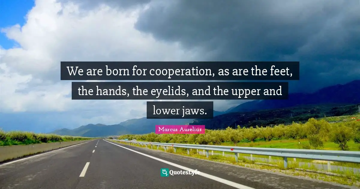 We are born for cooperation, as are the feet, the hands, the eyelids, and the upper and lower jaws.