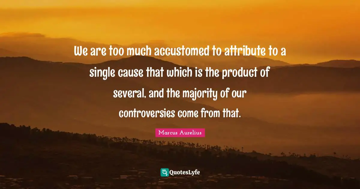 We are too much accustomed to attribute to a single cause that which is the product of several, and the majority of our controversies come from that.