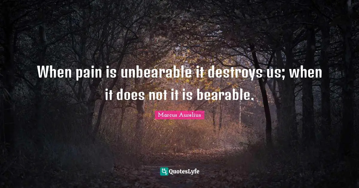 When pain is unbearable it destroys us; when it does not it is bearable.