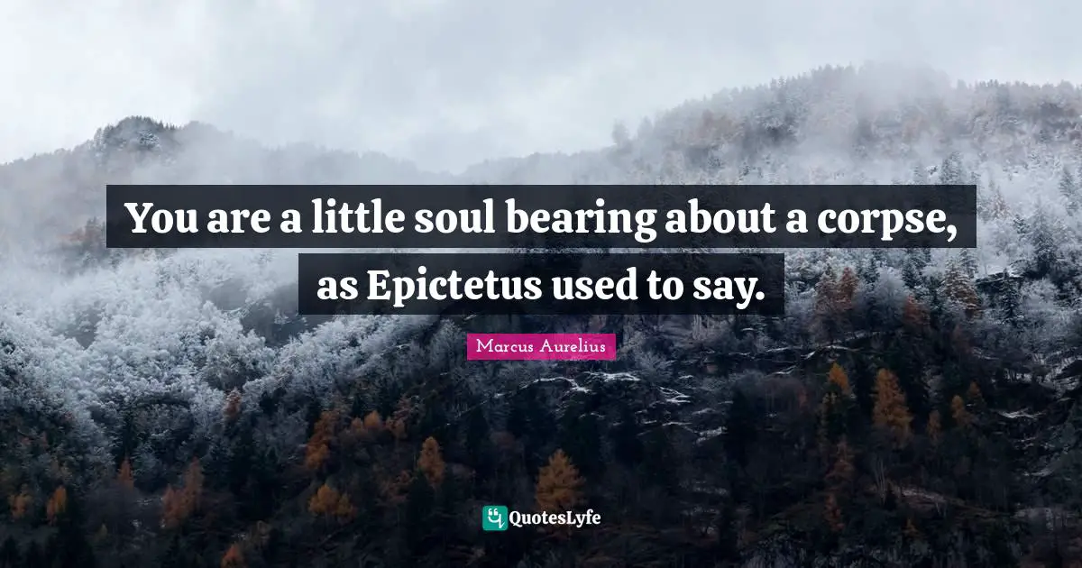 You are a little soul bearing about a corpse, as Epictetus used to say.