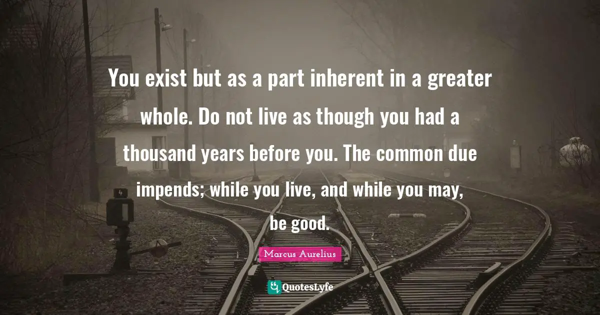 You exist but as a part inherent in a greater whole. Do not live as though you had a thousand years before you. The common due impends; while you live, and while you may, be good.