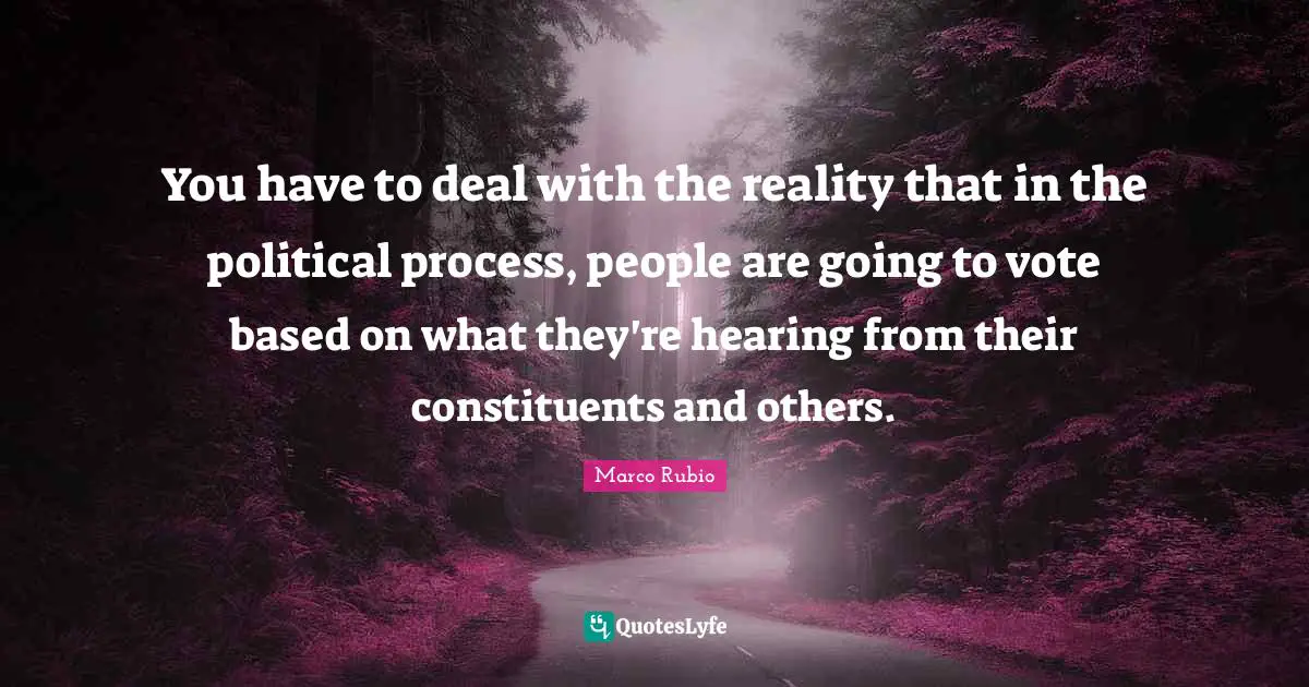 You have to deal with the reality that in the political process, people are going to vote based on what they're hearing from their constituents and others.