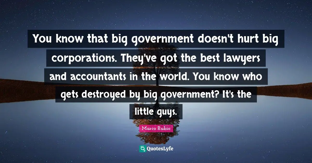 You know that big government doesn't hurt big corporations. They've got the best lawyers and accountants in the world. You know who gets destroyed by big government? It's the little guys.