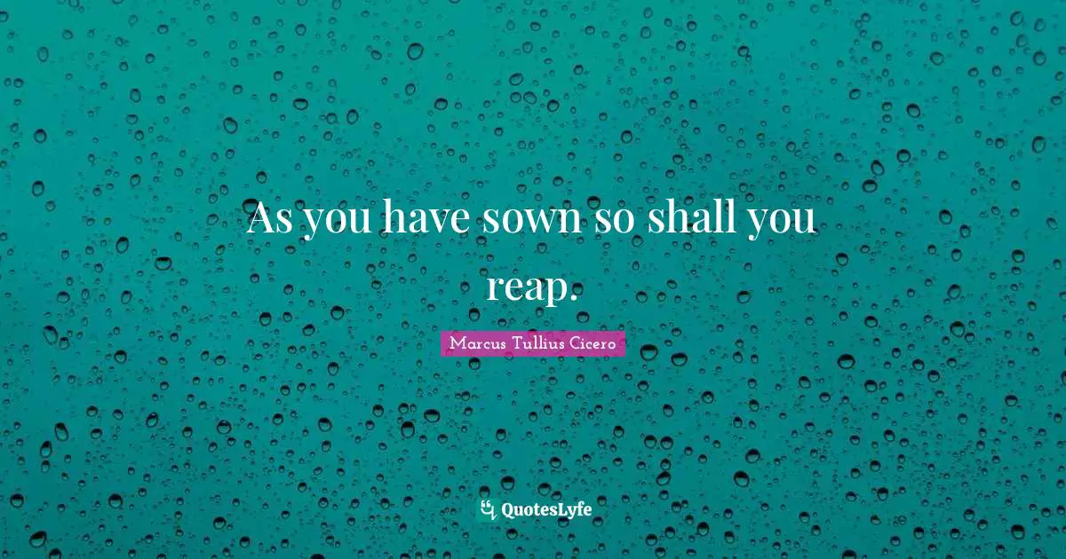 As you have sown so shall you reap.