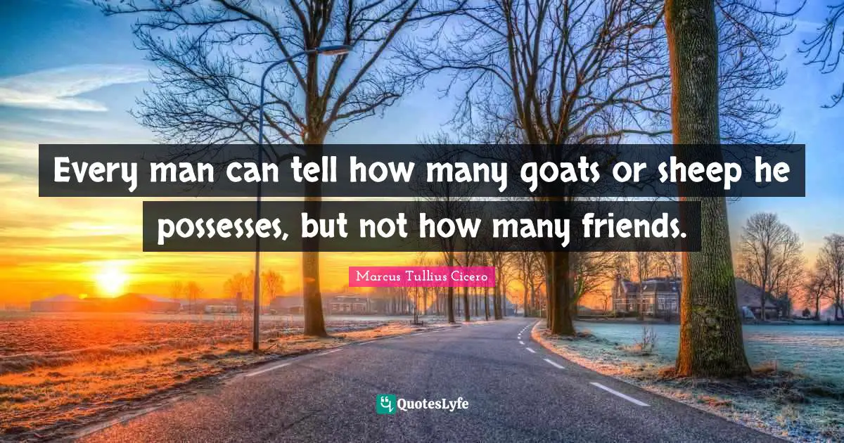 Every man can tell how many goats or sheep he possesses, but not how many friends.