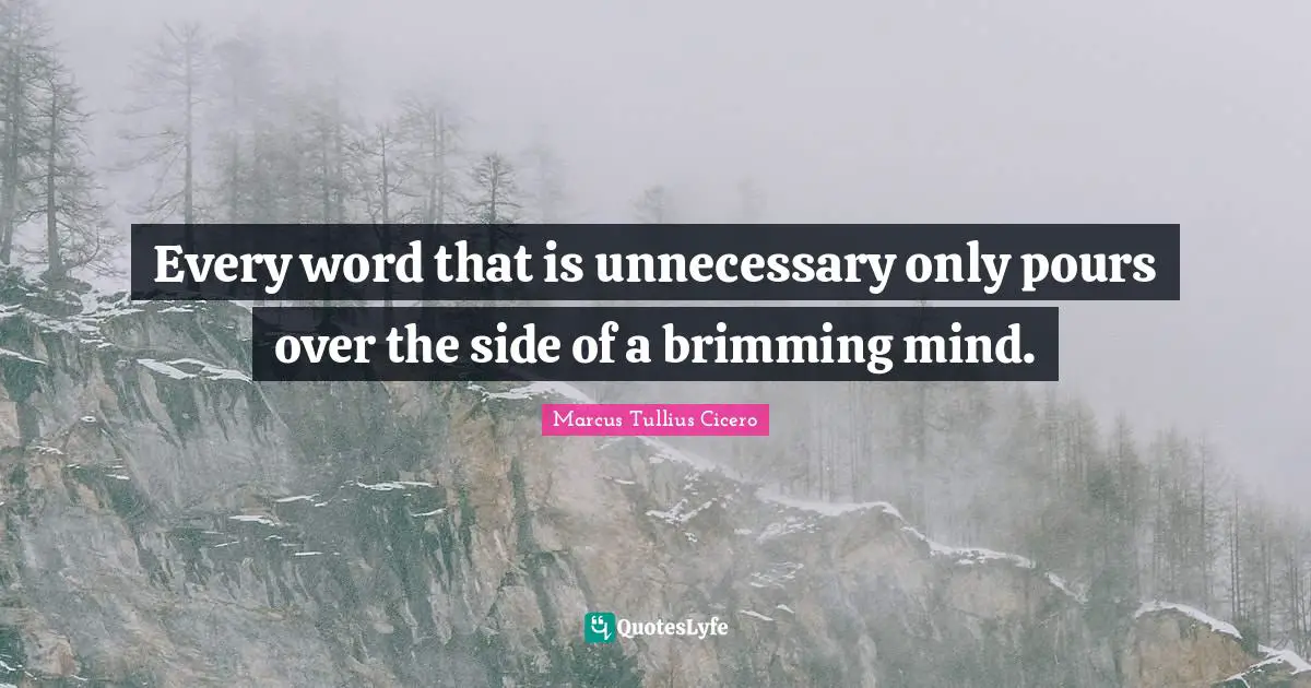 Every word that is unnecessary only pours over the side of a brimming mind.