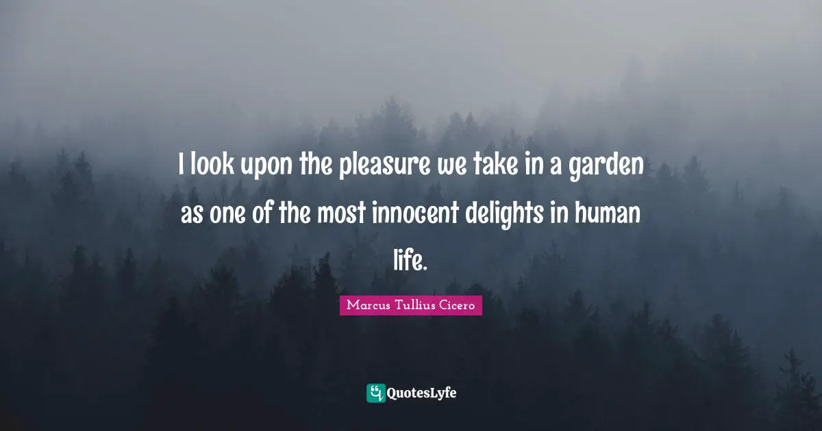 I look upon the pleasure we take in a garden as one of the most innocent delights in human life.