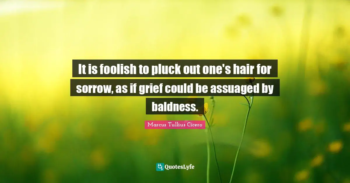 It is foolish to pluck out one's hair for sorrow, as if grief could be assuaged by baldness.