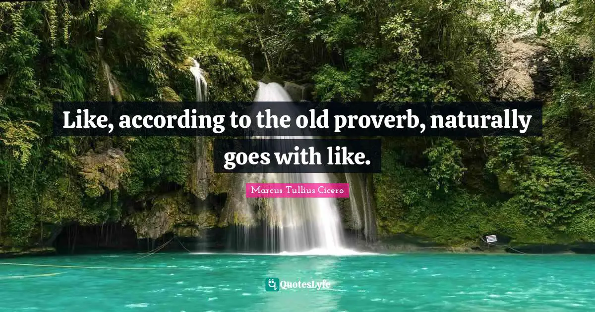 Proverb Quotes: "Like, according to the old proverb, naturally goes with like."