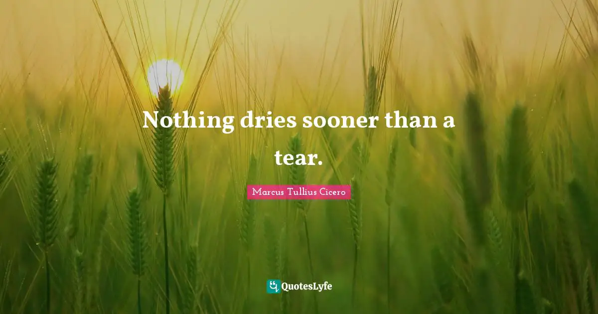 Nothing dries sooner than a tear.