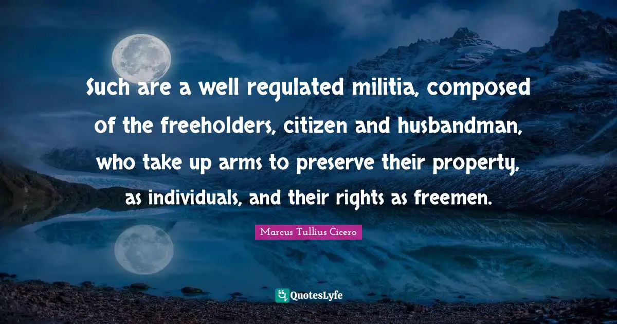 Such are a well regulated militia, composed of the freeholders, citizen and husbandman, who take up arms to preserve their property, as individuals, and their rights as freemen.