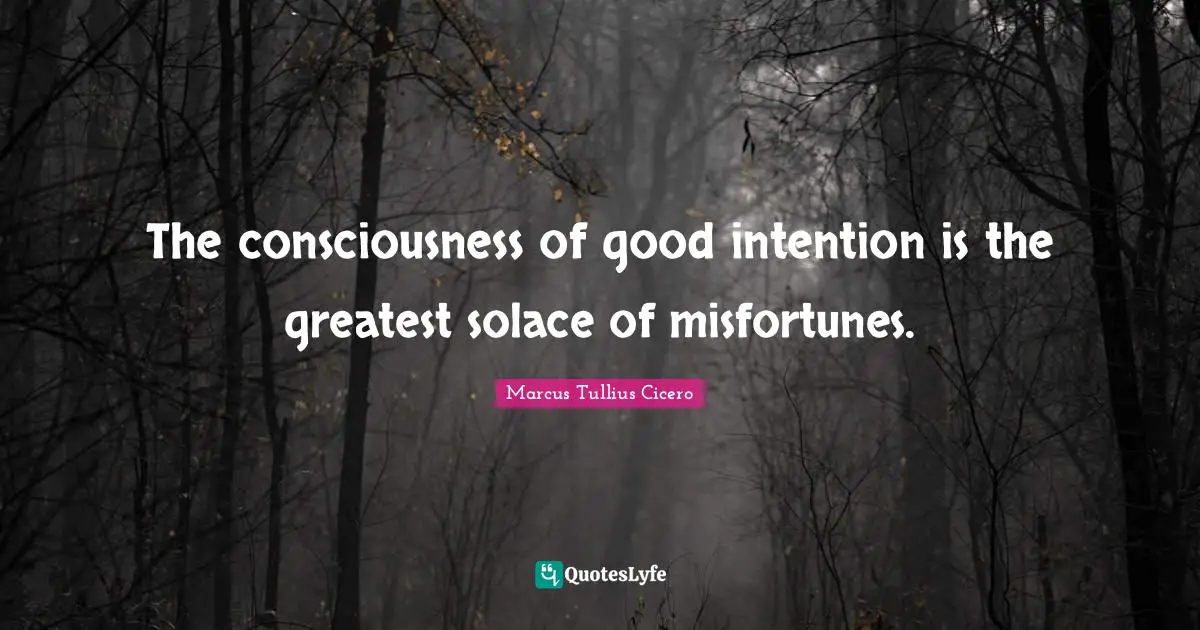 The consciousness of good intention is the greatest solace of misfortunes.