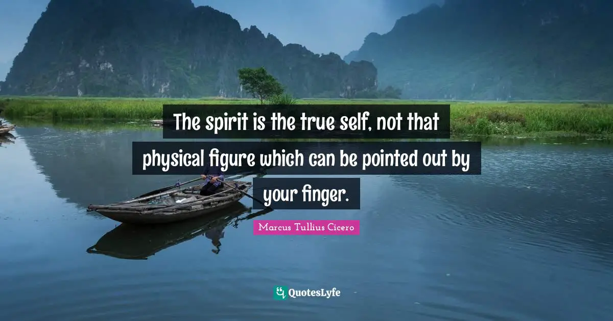 True Self Quotes: "The spirit is the true self, not that physical figure which can be pointed out by your finger."