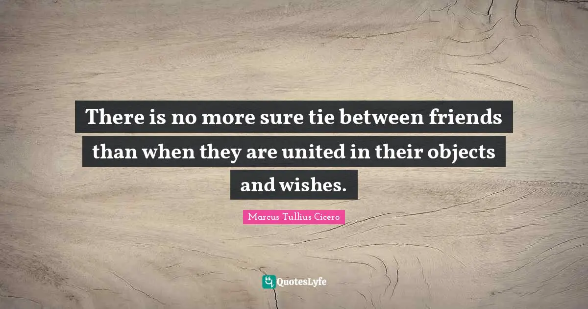There is no more sure tie between friends than when they are united in their objects and wishes.