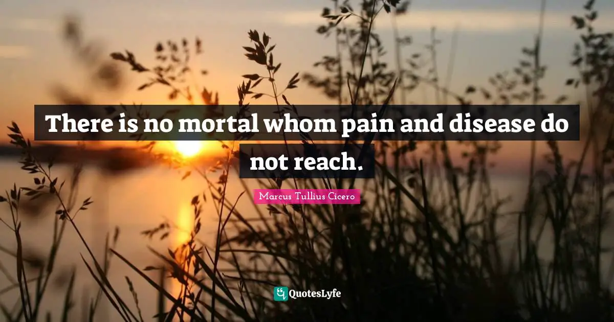 There is no mortal whom pain and disease do not reach.