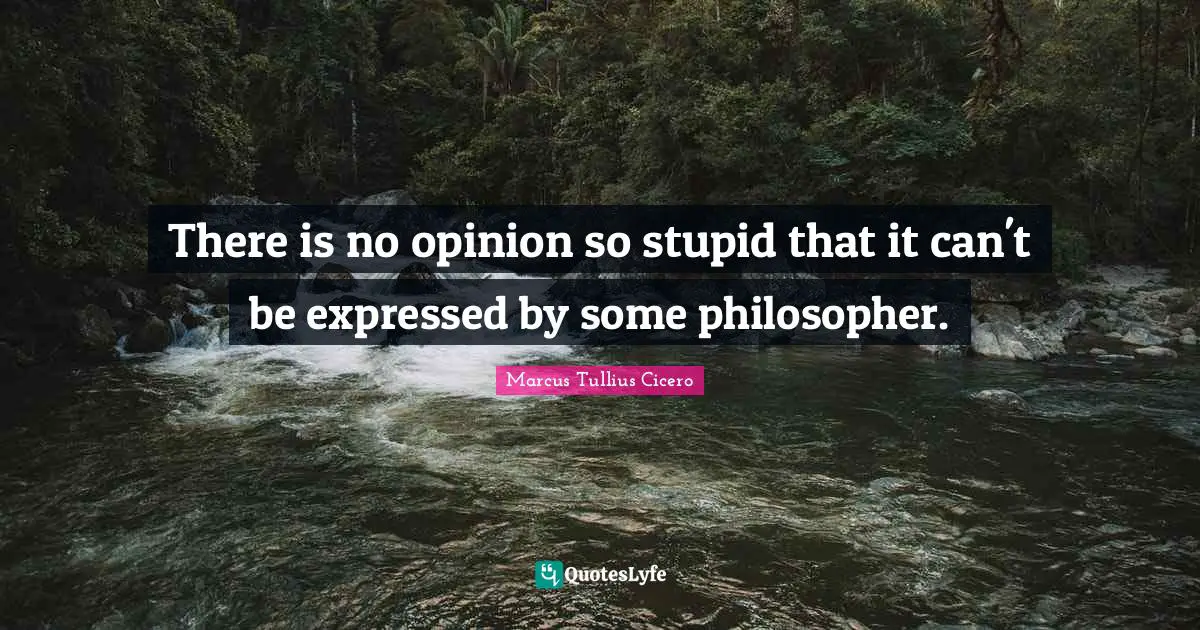 There is no opinion so stupid that it can't be expressed by some philosopher.
