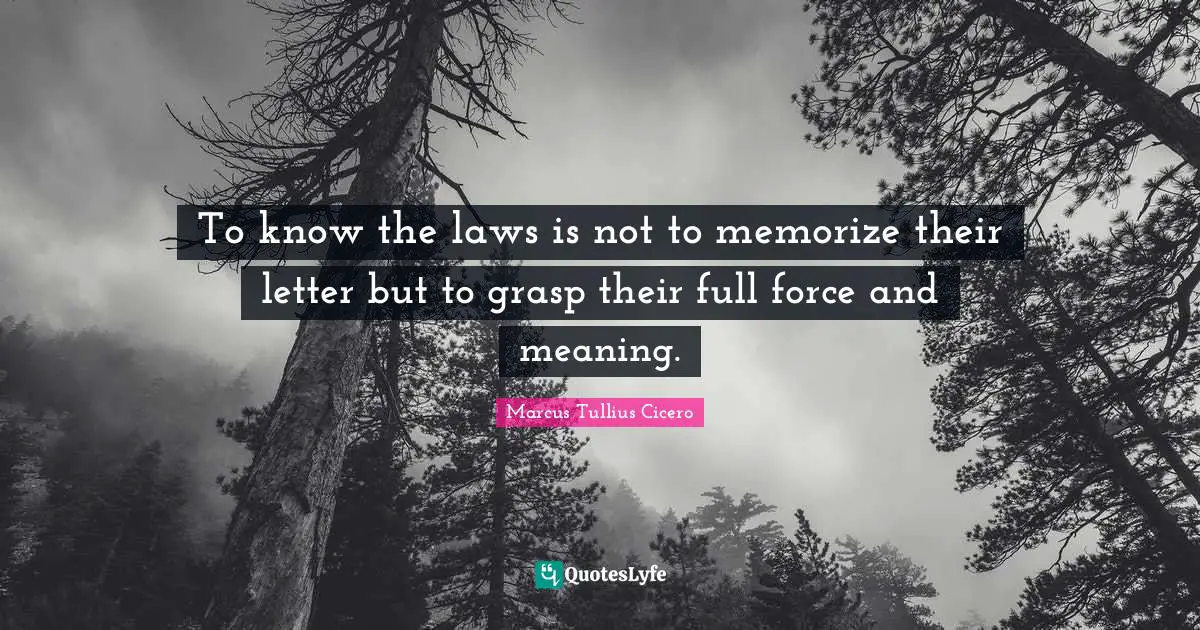 To know the laws is not to memorize their letter but to grasp their full force and meaning.