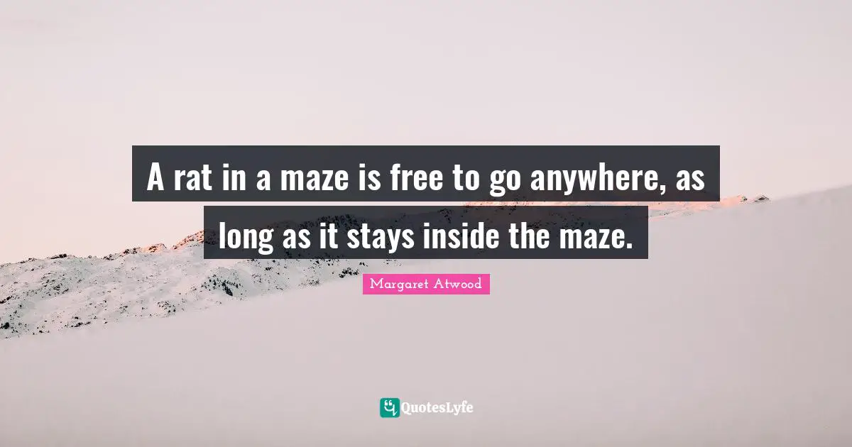 A rat in a maze is free to go anywhere, as long as it stays inside the maze.