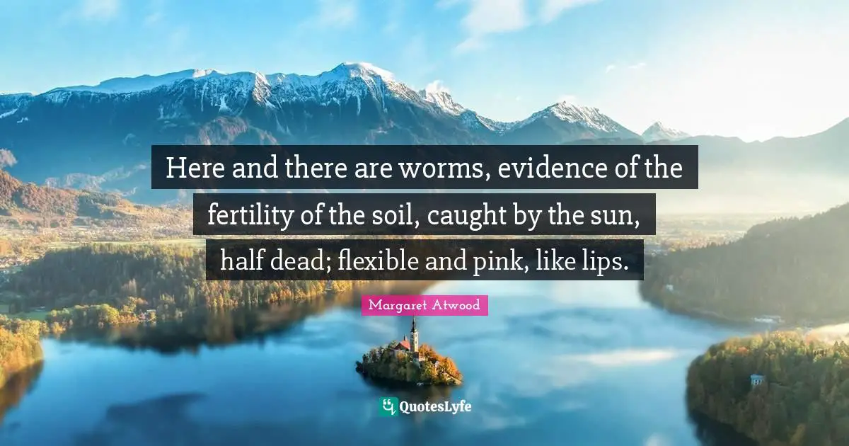 Here and there are worms, evidence of the fertility of the soil, caught by the sun, half dead; flexible and pink, like lips.
