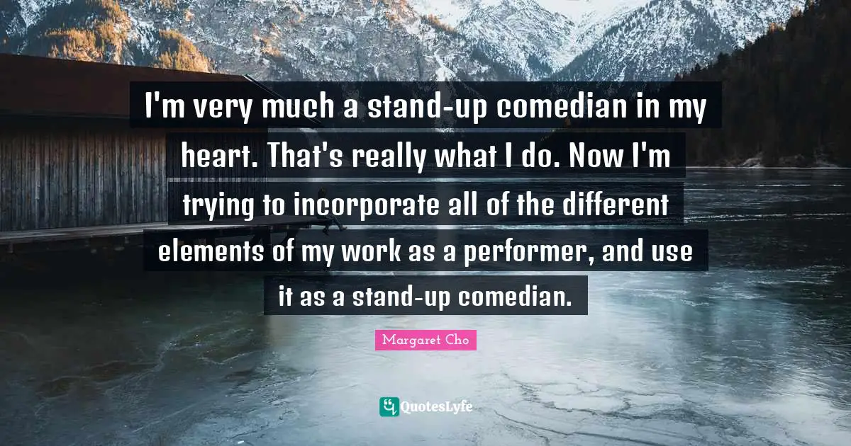 I'm very much a stand-up comedian in my heart. That's really what I do. Now I'm trying to incorporate all of the different elements of my work as a performer, and use it as a stand-up comedian.