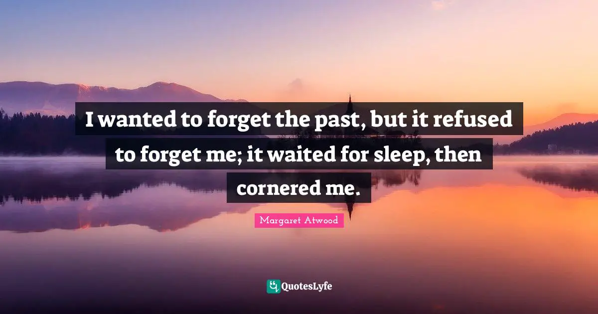 Forget The Past Quotes: "I wanted to forget the past, but it refused to forget me; it waited for sleep, then cornered me."