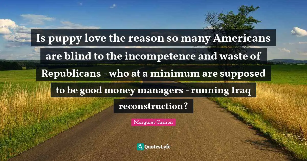 Is puppy love the reason so many Americans are blind to the incompetence and waste of Republicans - who at a minimum are supposed to be good money managers - running Iraq reconstruction?