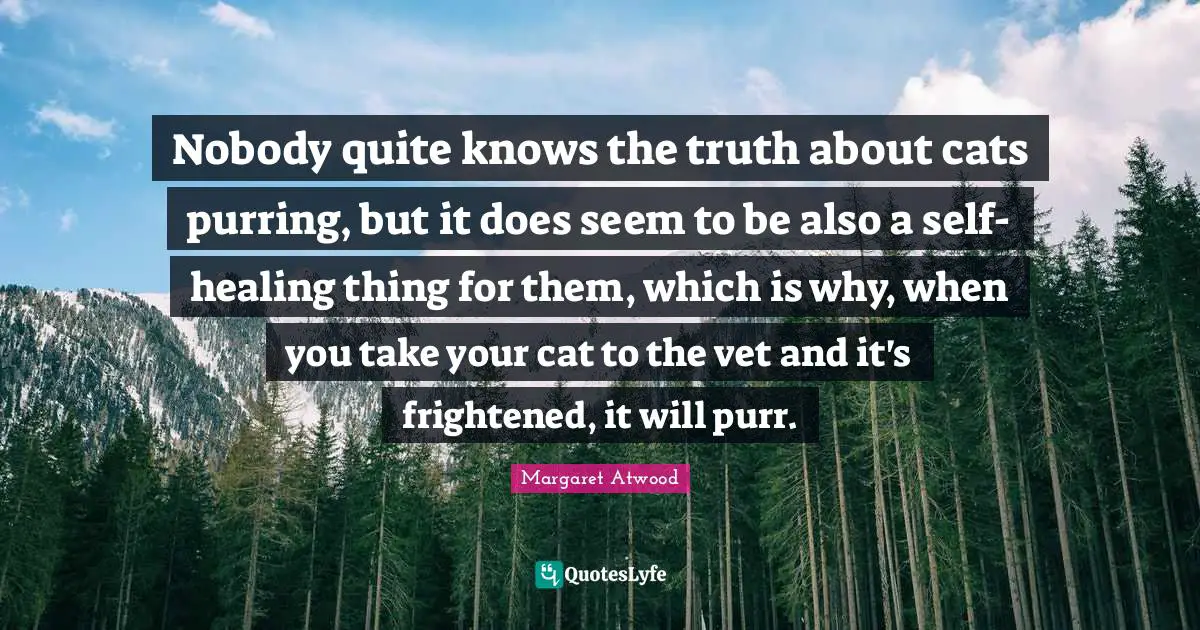 Nobody quite knows the truth about cats purring, but it does seem to be also a self-healing thing for them, which is why, when you take your cat to the vet and it's frightened, it will purr.