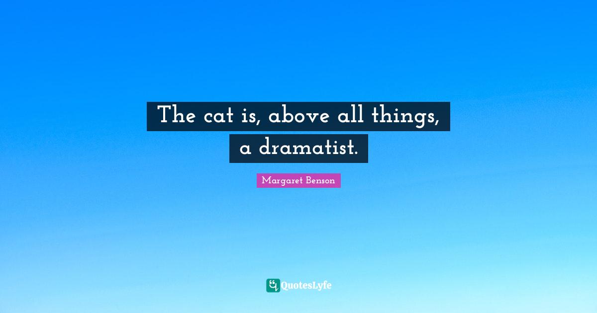 The cat is, above all things, a dramatist.