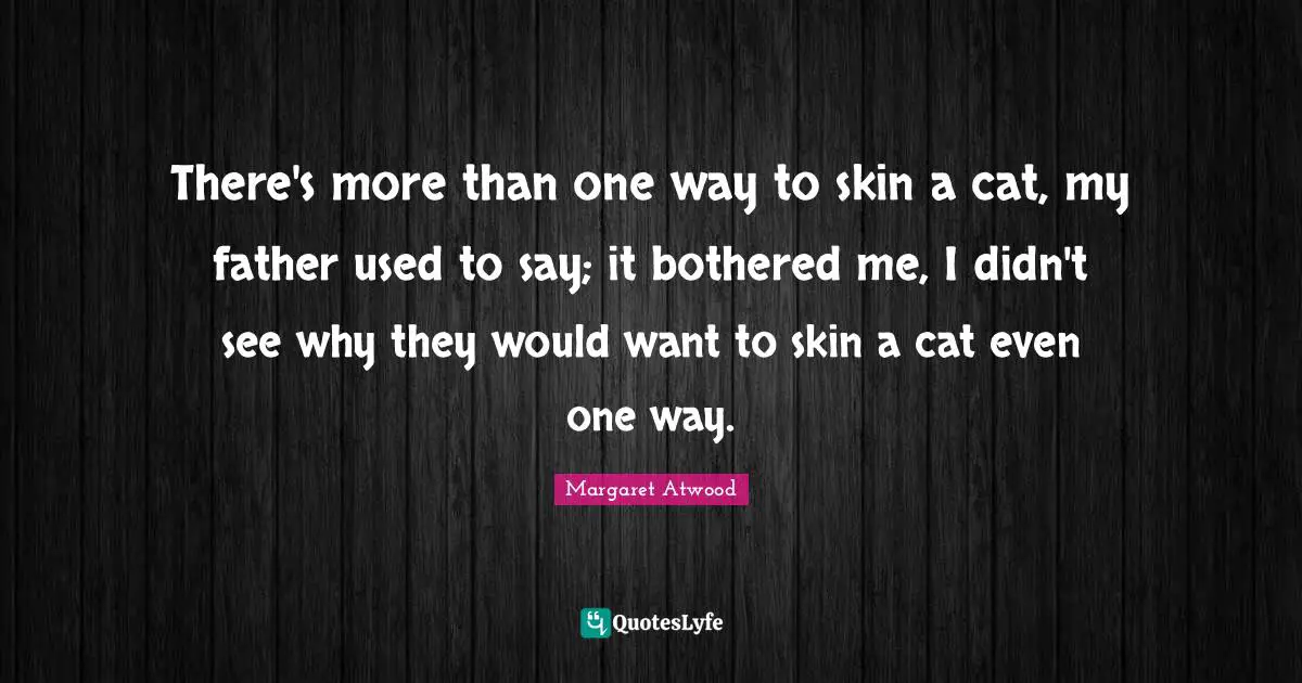There's more than one way to skin a cat, my father used to say; it bothered me, I didn't see why they would want to skin a cat even one way.