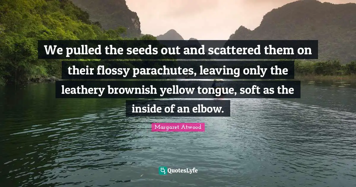 We pulled the seeds out and scattered them on their flossy parachutes, leaving only the leathery brownish yellow tongue, soft as the inside of an elbow.