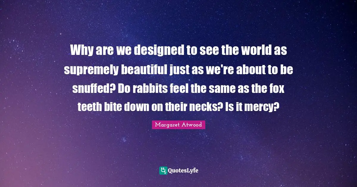 Why are we designed to see the world as supremely beautiful just as we're about to be snuffed? Do rabbits feel the same as the fox teeth bite down on their necks? Is it mercy?