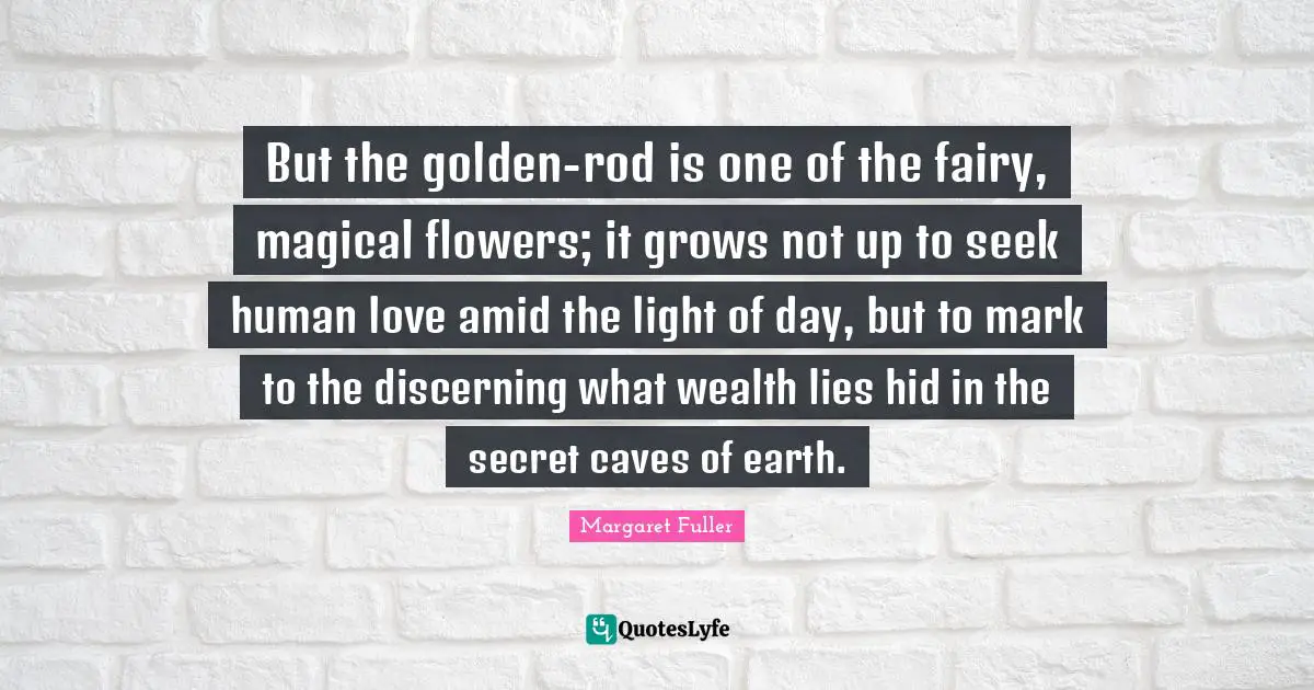 But the golden-rod is one of the fairy, magical flowers; it grows not up to seek human love amid the light of day, but to mark to the discerning what wealth lies hid in the secret caves of earth.