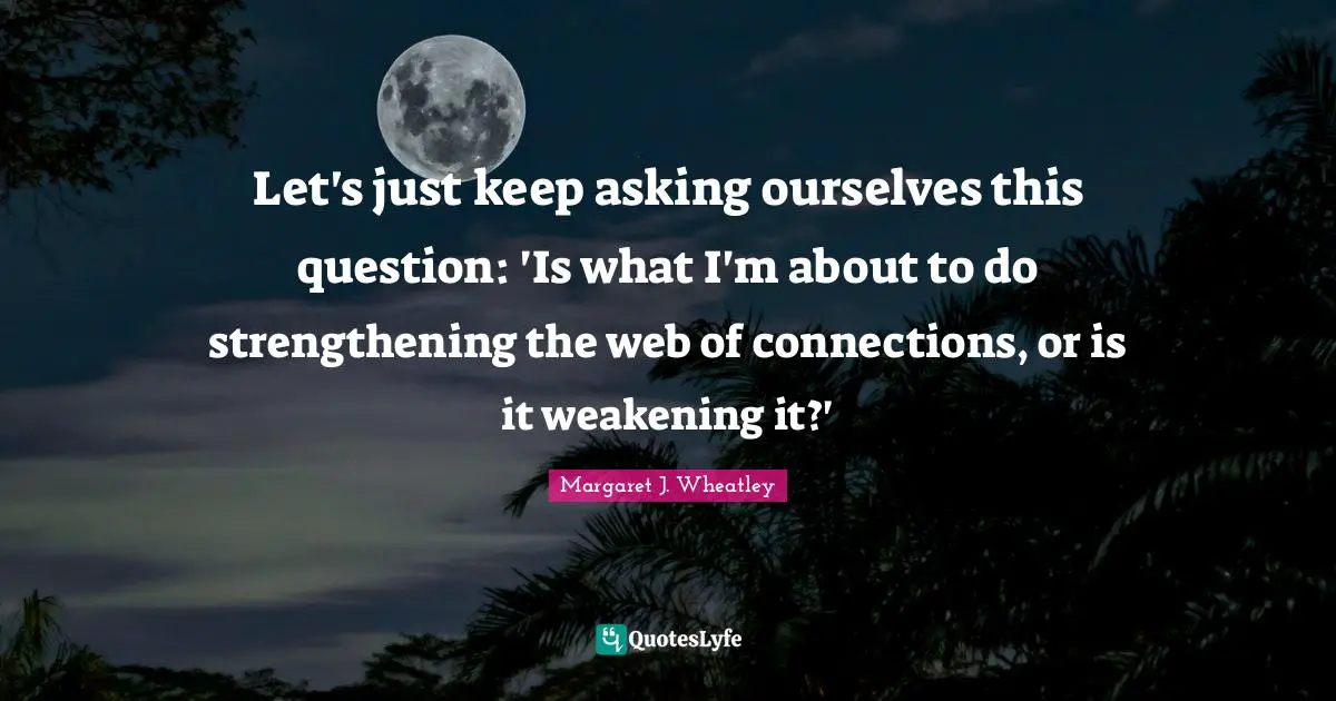 Let's just keep asking ourselves this question: 'Is what I'm about to do strengthening the web of connections, or is it weakening it?'