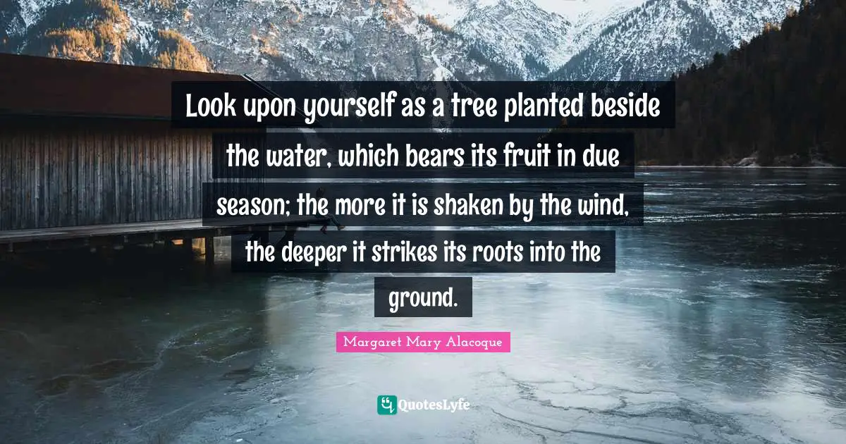 Fruit Quotes: "Look upon yourself as a tree planted beside the water, which bears its fruit in due season; the more it is shaken by the wind, the deeper it strikes its roots into the ground."
