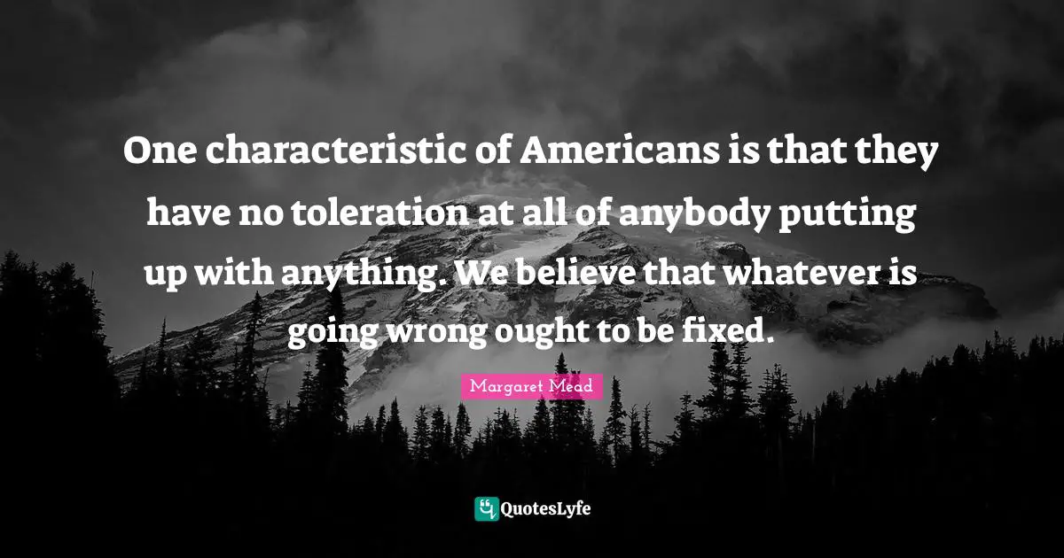 One characteristic of Americans is that they have no toleration at all of anybody putting up with anything. We believe that whatever is going wrong ought to be fixed.