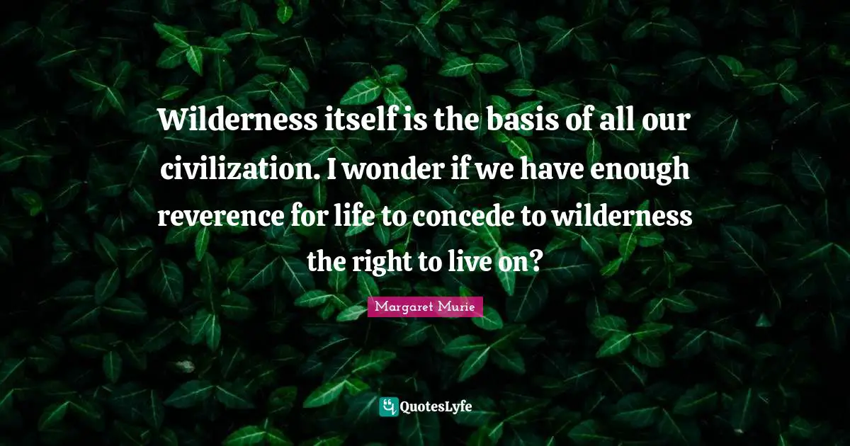 Wilderness Quotes: "Wilderness itself is the basis of all our civilization. I wonder if we have enough reverence for life to concede to wilderness the right to live on?"