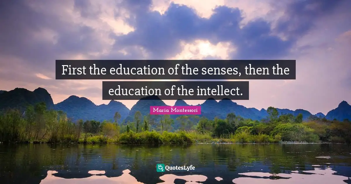 Senses Quotes: "First the education of the senses, then the education of the intellect."