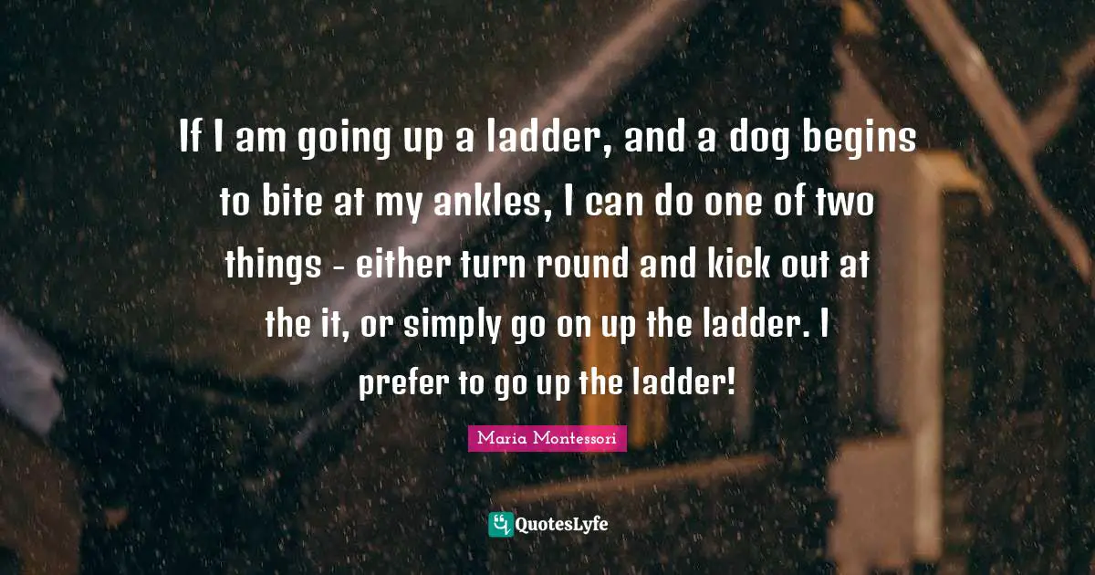 If I am going up a ladder, and a dog begins to bite at my ankles, I can do one of two things - either turn round and kick out at the it, or simply go on up the ladder. I prefer to go up the ladder!